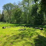 Eifellux Korperich