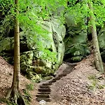 Eifellux Korperich