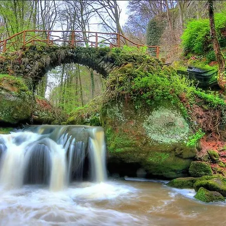 Eifellux * Korperich