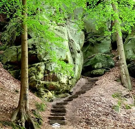 Eifellux Korperich